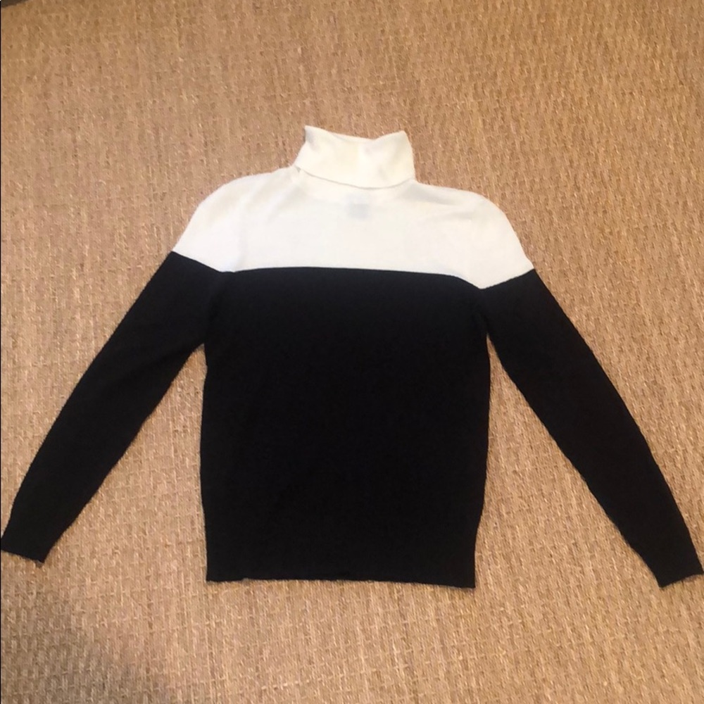 Ann Taylor long sleeved turtleneck sweater